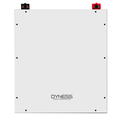 Акумулятор для ДБЖ Dyness DL5.0C 51.2v 100ah, 5.12kwh LiFePo4(DL5.0C)