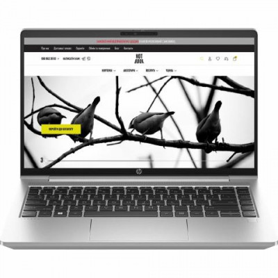 Ноутбук HP ProBook 445 G10 Pike Silver (7P3C7UT)