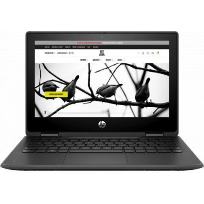 Ноутбук HP Pro x360 Fortis G11 Black (8G0B1AVI)