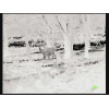 Prodigy Mini 1.0-2.0x13mm Thermal Monocular