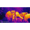 InfiRay FLIP PH35 Large Screen Thermal Imaging Camera 35mm 384 288