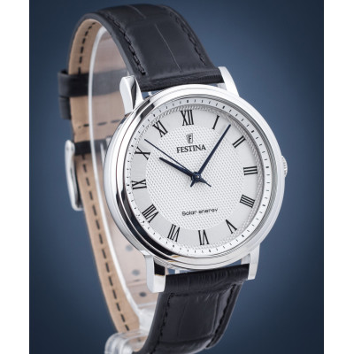 Чоловічий годинник Festina F20660\/3