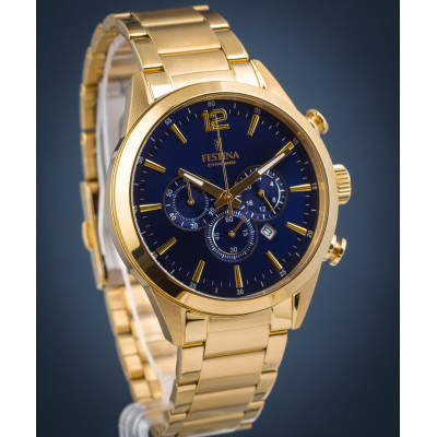 Чоловічий годинник Festina F20633\/2