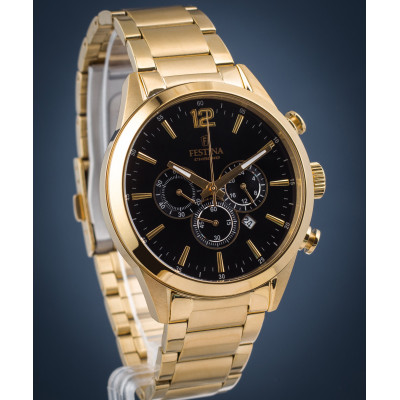 Чоловічий годинник Festina F20633\/3