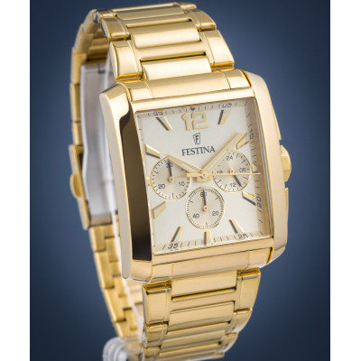 Чоловічий годинник Festina F20638\/2