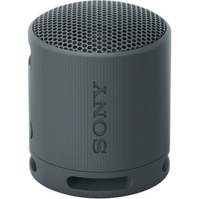 Портативна колонка Sony SRS-XB100 Black (SRSXB100B)