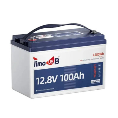 Батарея LiFePo4 Timeusb 12.8V-100Ah (Timeusb-12V100Ah-Pro)