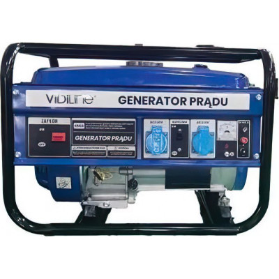 Бензиновий генератор VidiLine VIDI-GP-3000