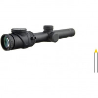 Оптичний приціл Trijicon AccuPoint (TR25-C-200091) 1-6x24 BAC Amber Triangle Tritium / Fiber Optics