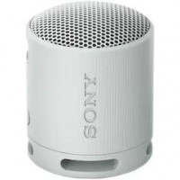 Портативна колонка Sony SRS-XB100 Grey (SRSXB100H.CE7)