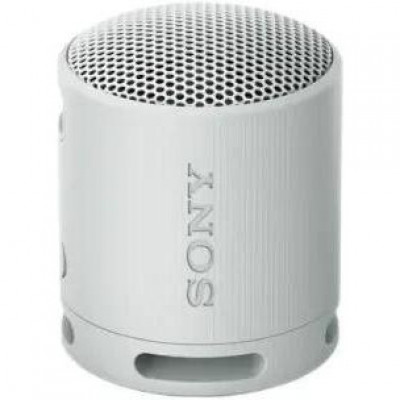 Портативна колонка Sony SRS-XB100 Grey (SRSXB100H.CE7)