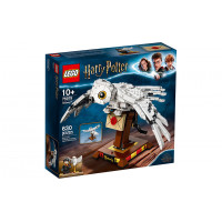 Блоковий конструктор LEGO Harry Potter Букля (75979)