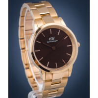 Жіночий годинник Daniel Wellington Iconic Link Amber DW00100461