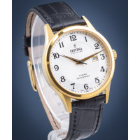 Чоловічий годинник Festina F20010\/1