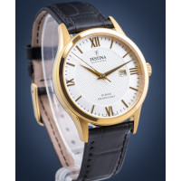 Чоловічий годинник Festina F20010\/2