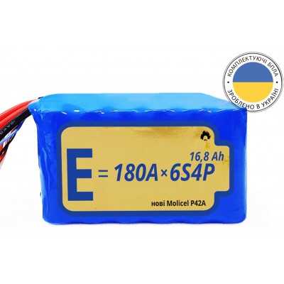 Акумуляторна батарея 6S4P Energy Life 16800 мАч Moliсel 21700-P42A Li-Ion 10AWG без конектора (001)