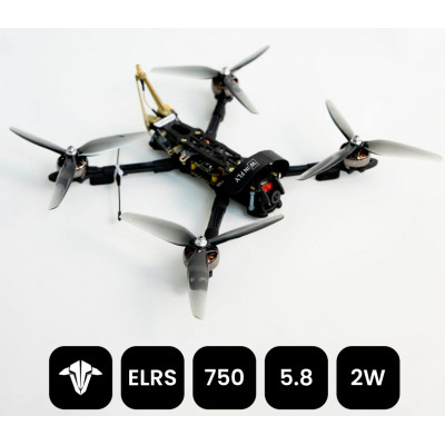 FPV дрон WINFLY ELRS 750 5.8 6s2p