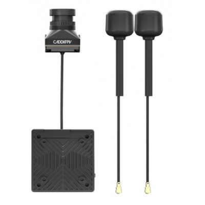 Відеосистема FPV CADDXFPV Walksnail Avatar HD Pro Kit 32G (Dual Antennas Version) (WN08-6S14B)